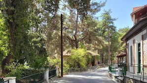 A quiet street lined with trees and a building with a stone facade. - Theplatresnest Lovely 3-bed House in Pano Platres (Platres)