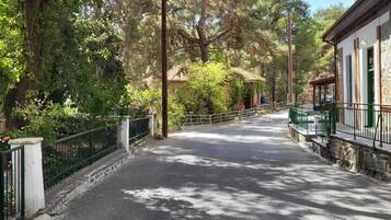 House | Property grounds