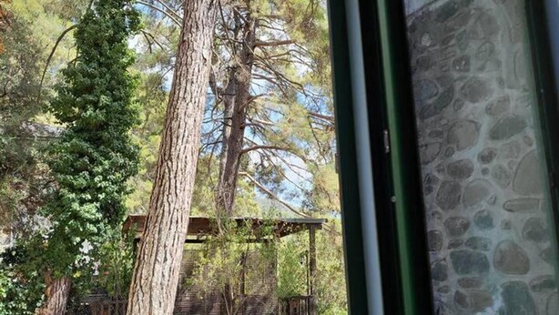 A stone building with a paved walkway and a green fence. - Theplatresnest Lovely 3-bed House in Pano Platres (Platres)