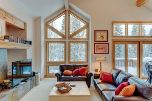 Smart TV, fireplace, books