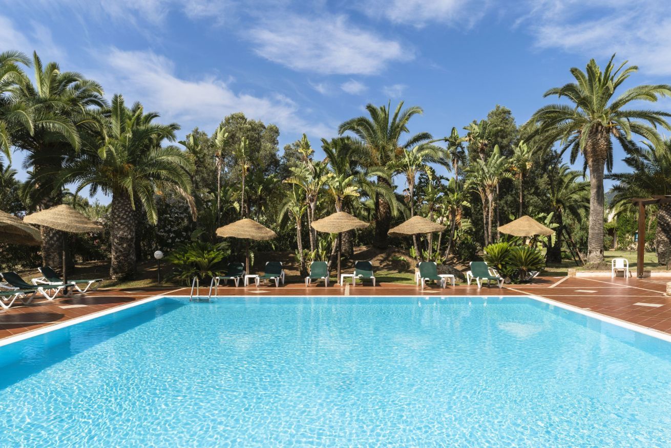 Une piscine entourée de palmiers, avec des chaises longues et des parasols.