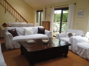 Televisión, chimenea, reproductor de DVD y libros 