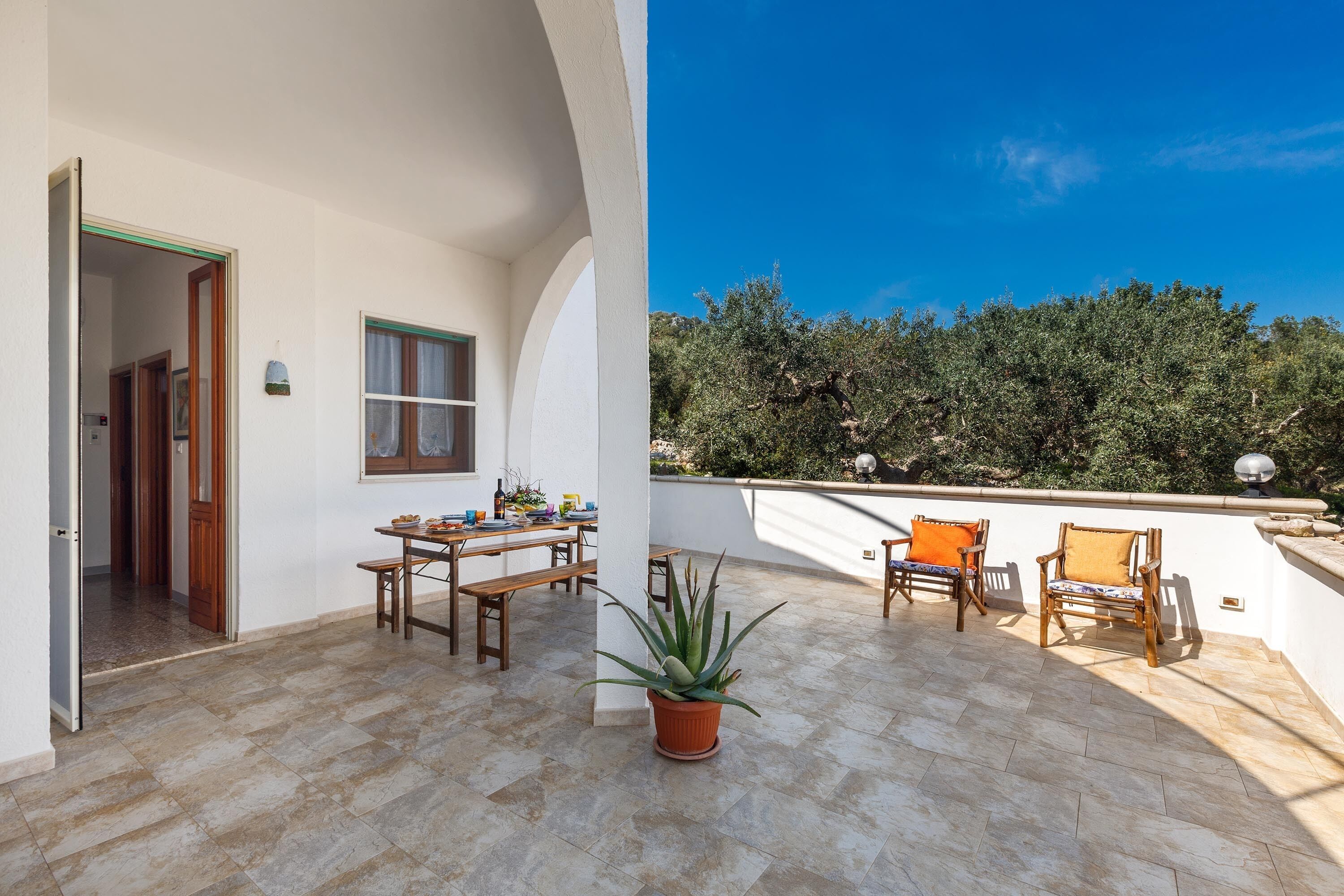 An open patio with a dining area, a potted plant, and a view of olive trees.
