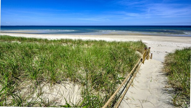 A sandy beach path with grass on either side leading to the ocean.
