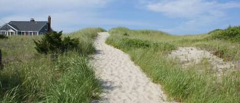 Playa en los alrededores