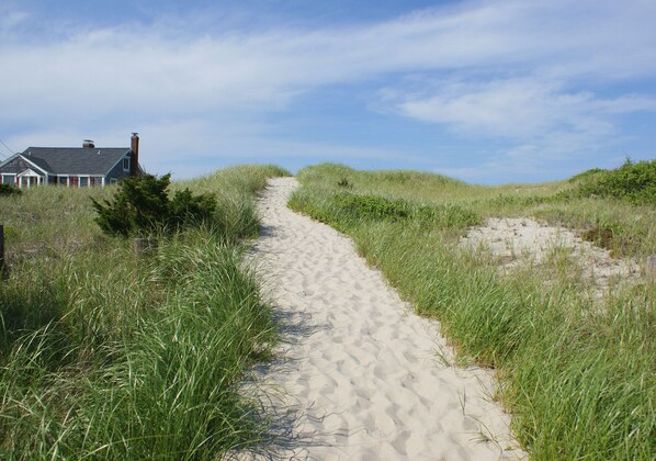 بالقرب من الشاطئ