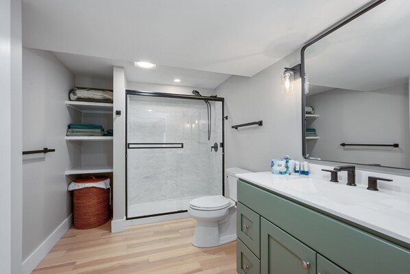 A modern bathroom with a shower enclosure, toilet, and vanity with a large mirror.