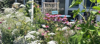 Free standing 1940s Artists Cottage East End near Commercial St. Parking! A/C!