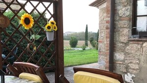 A patio with a table set for two, a wooden chair, and a yellow cushion. There are potted plants and a lattice structure with sunflowers.