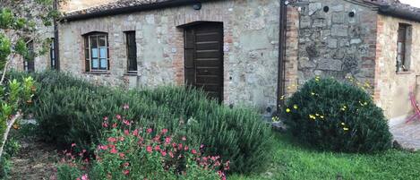 Detalle del exterior