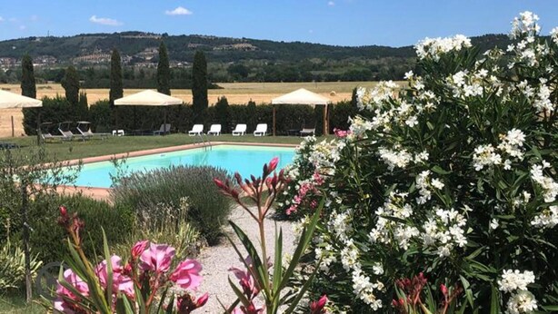 A swimming pool with lounge chairs and umbrellas, surrounded by flowering plants and a view of hills.