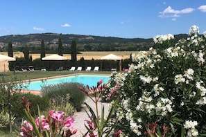 Piscine couverte