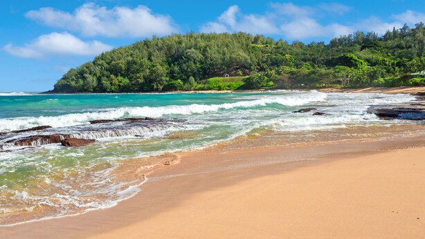 A beach with clear turquoise waters, a sandy shore, and a forested hill in the background. - STEPS FROM STUNNING MOLOAA BAY (Anahola)