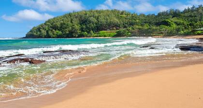 STEPS FROM STUNNING MOLOAA BAY