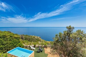 A pool with a view of the sea, surrounded by greenery and a clear sky.
