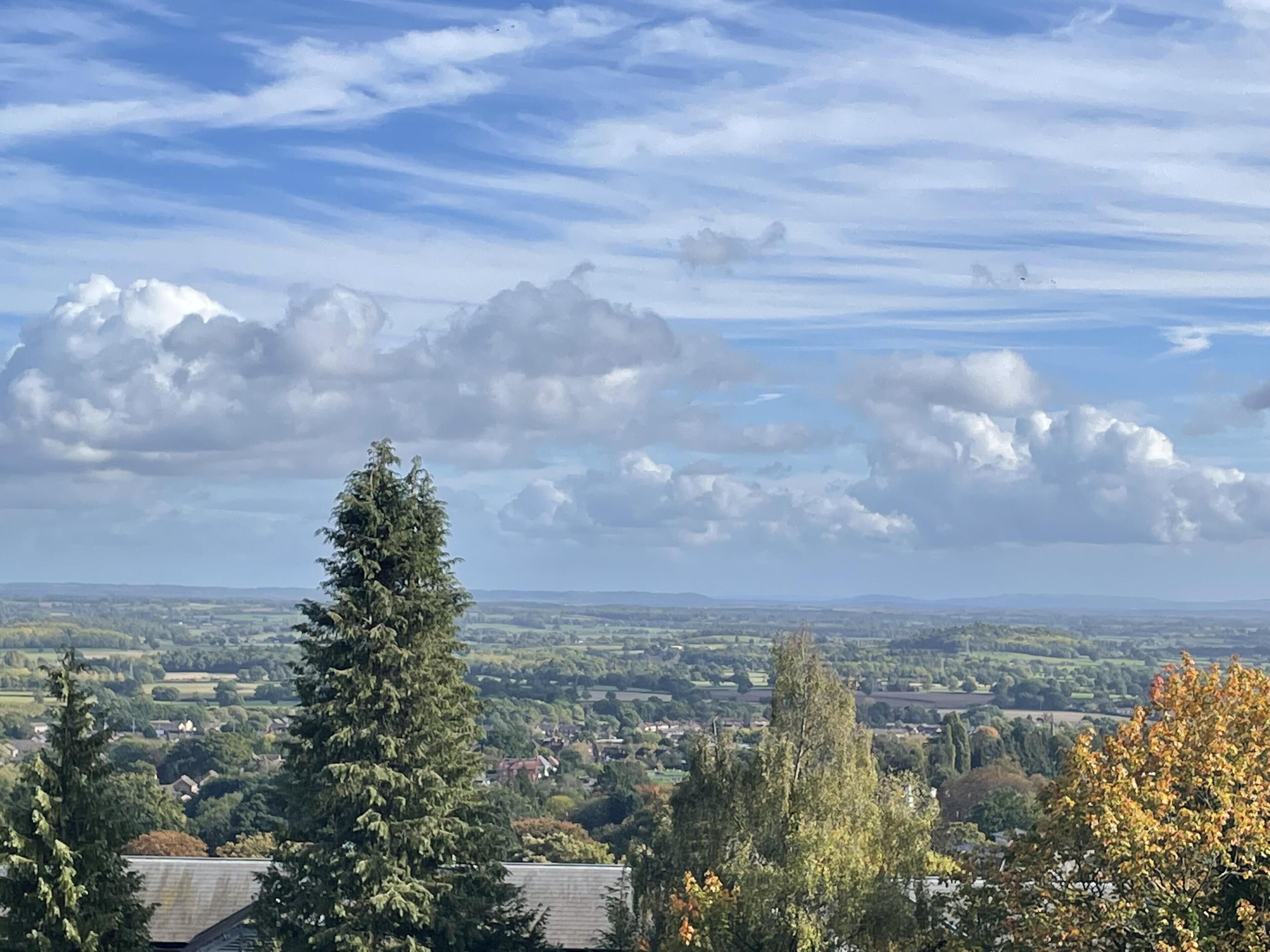 A panoramic view of a town with a prominent tree in the foreground and a clear sky with scattered clouds.