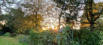 스튜디오/리키 힐스/명소 근처/정원/펫프렌들리