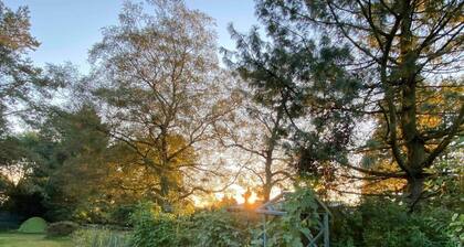 Studio/lickey Hills/near Attractions/garden/petok