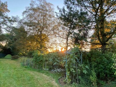 Studio/lickey Hills/near Attractions/garden/petok