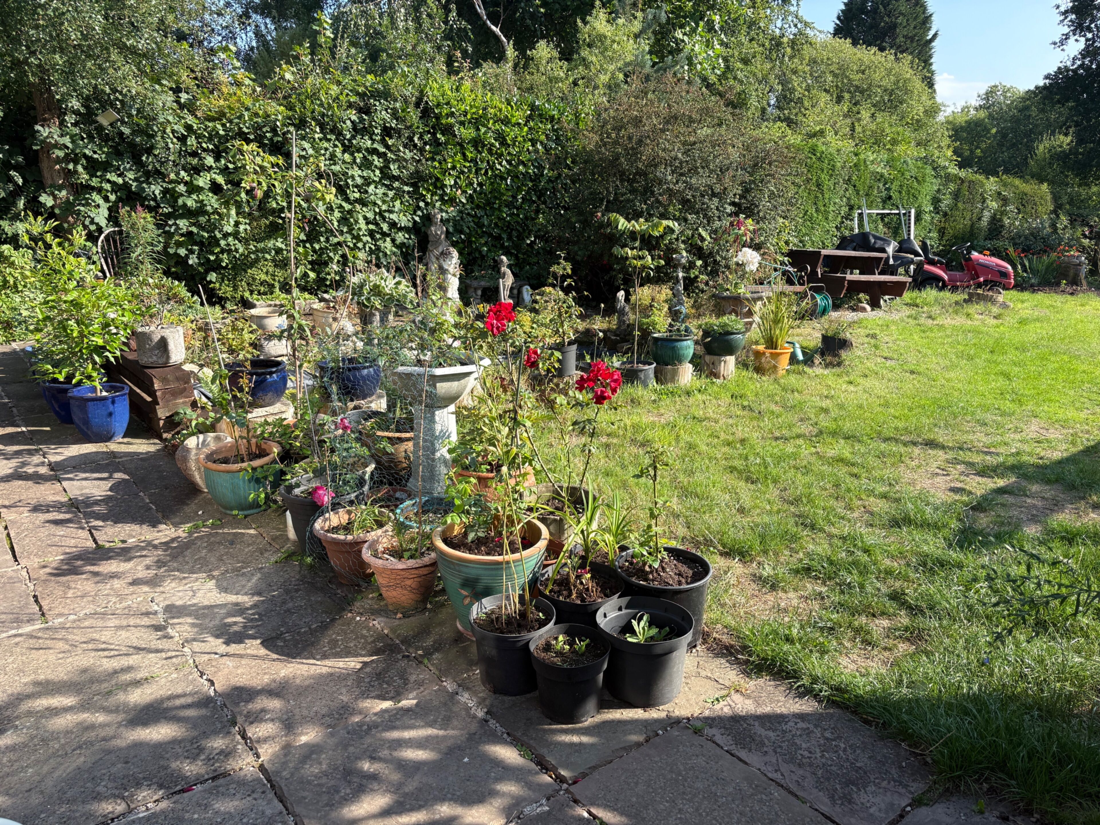A garden with various potted plants and a lawn.