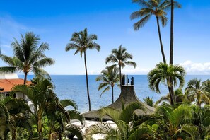 Miscellaneous - Casa De Emdeko# 323 Remodeled, Ocean View, AC! (Kailua-Kona)
