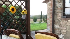Une terrasse avec une table et des chaises, une structure en treillis ornée de tournesols et une vue sur un champ verdoyant.