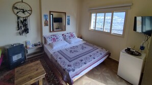 A bedroom with a bed, a mirror, a dreamcatcher, a heater, a window, and a TV.