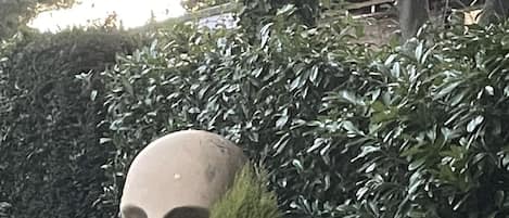 Detalle exterior