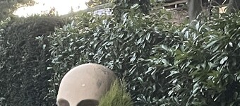 Studio/Lickey Hills/Near Attractions/Garden/Pet Ok