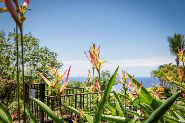 Condo, Multiple Beds (Kona Westwind 1) | Property grounds