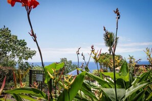 Apartment, Mehrere Betten (Kona Westwind 1) | Unterkunftsgelände