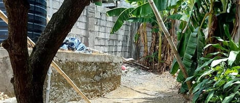House | Property grounds