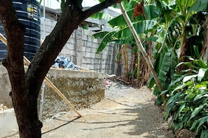 House | Property grounds