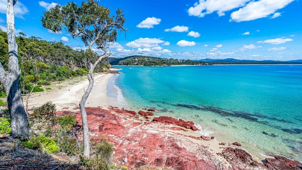 Una playa con agua turquesa cristalina, rocas rojas y un árbol.