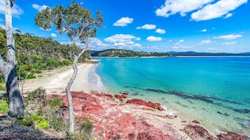 Nära stranden och vit sandstrand