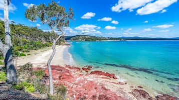 Beach nearby, white sand