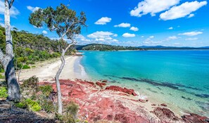 Una playa con agua turquesa cristalina, rocas rojas y un árbol.