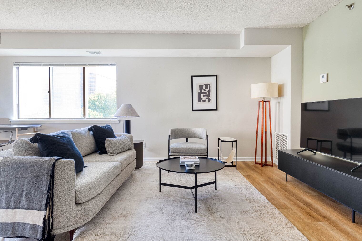 テレビ、ステレオ