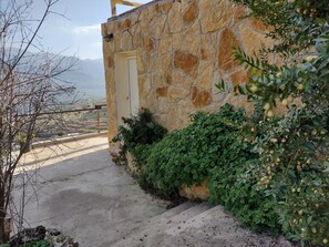 House | Property grounds
