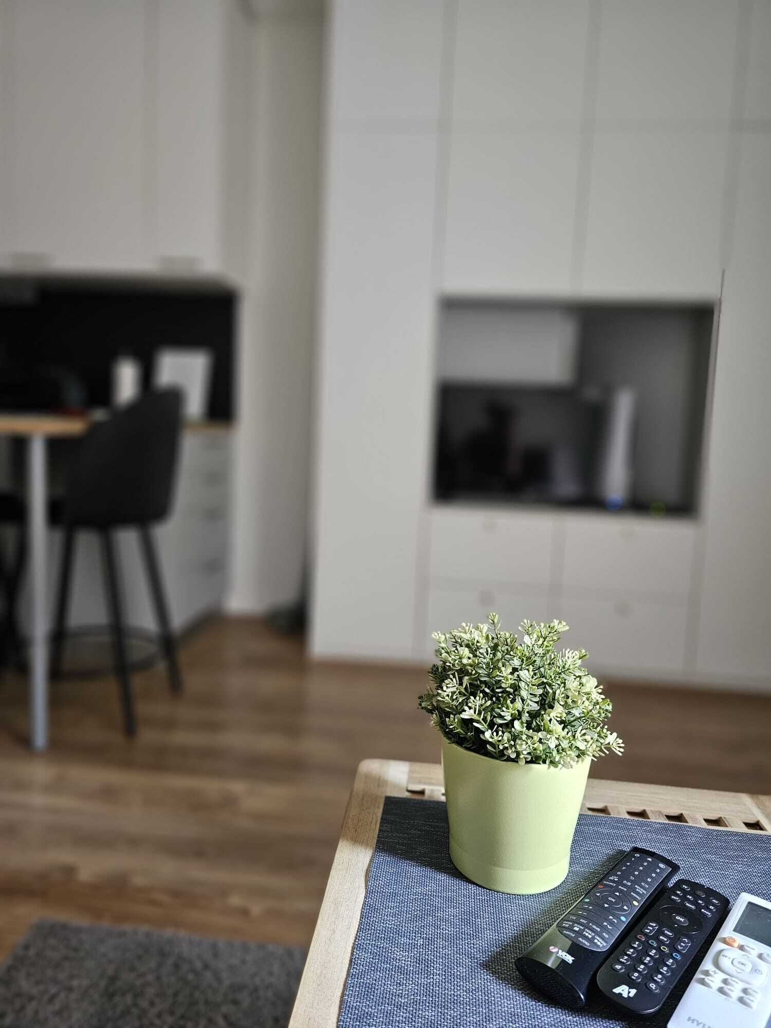 A living room with a potted plant on a table, two remote controls, and a modern kitchen in the background.