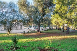 Familienvilla, Mehrere Schlafzimmer (Trullo Delle Ginestre Private Pool) | Unterkunftsgelände