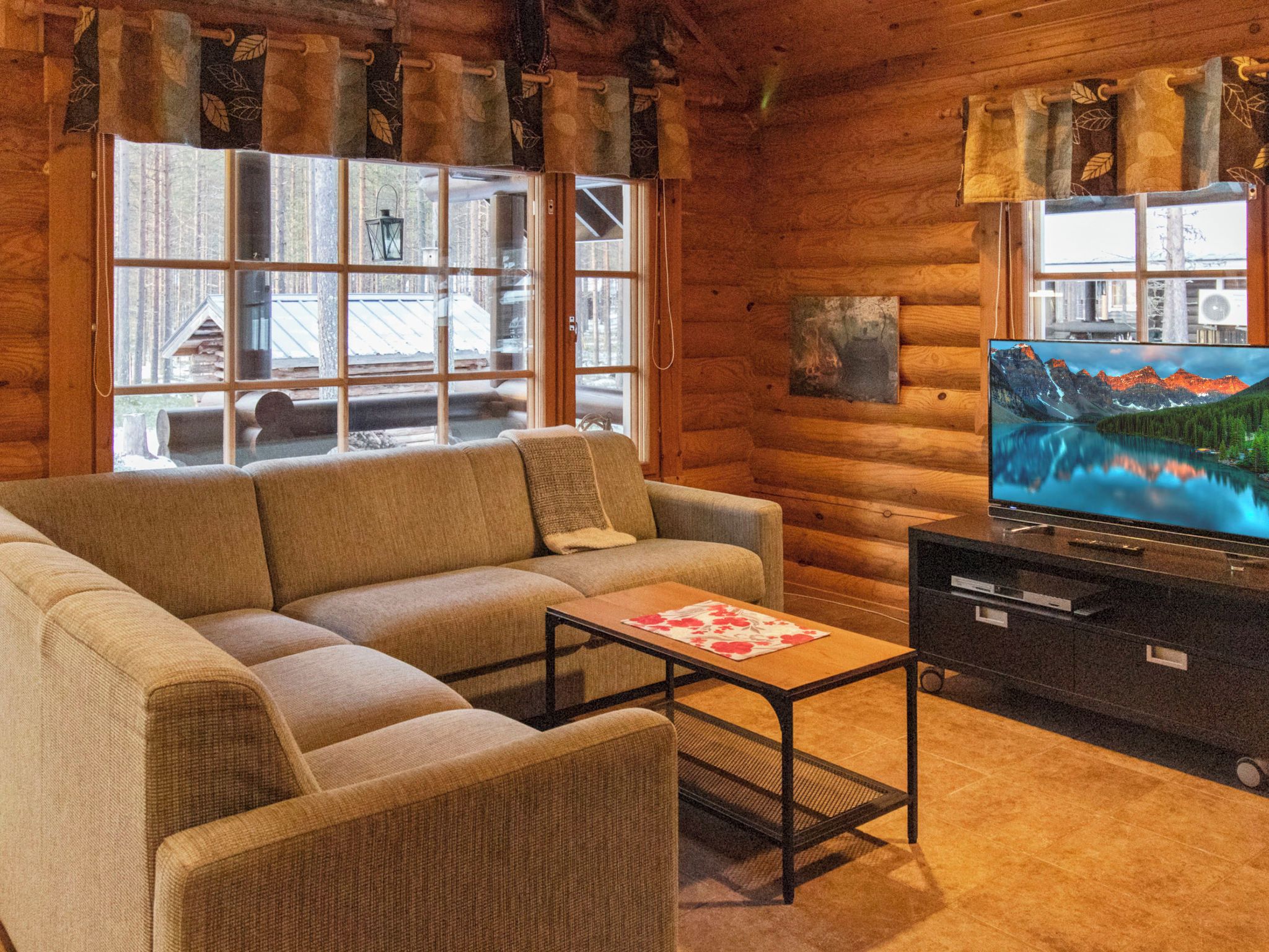 TV, fireplace, DVD player
