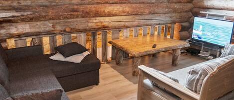 Televisio, DVD-soitin