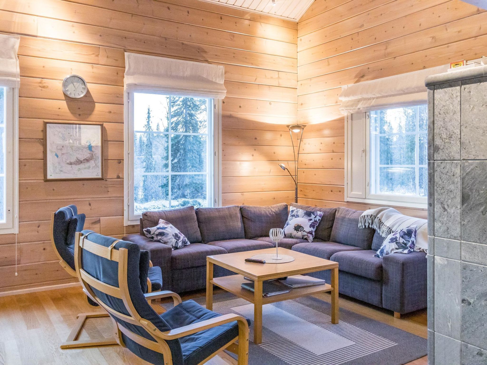 电视、DVD 播放器