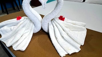 Business Double Room | Free WiFi, bed sheets