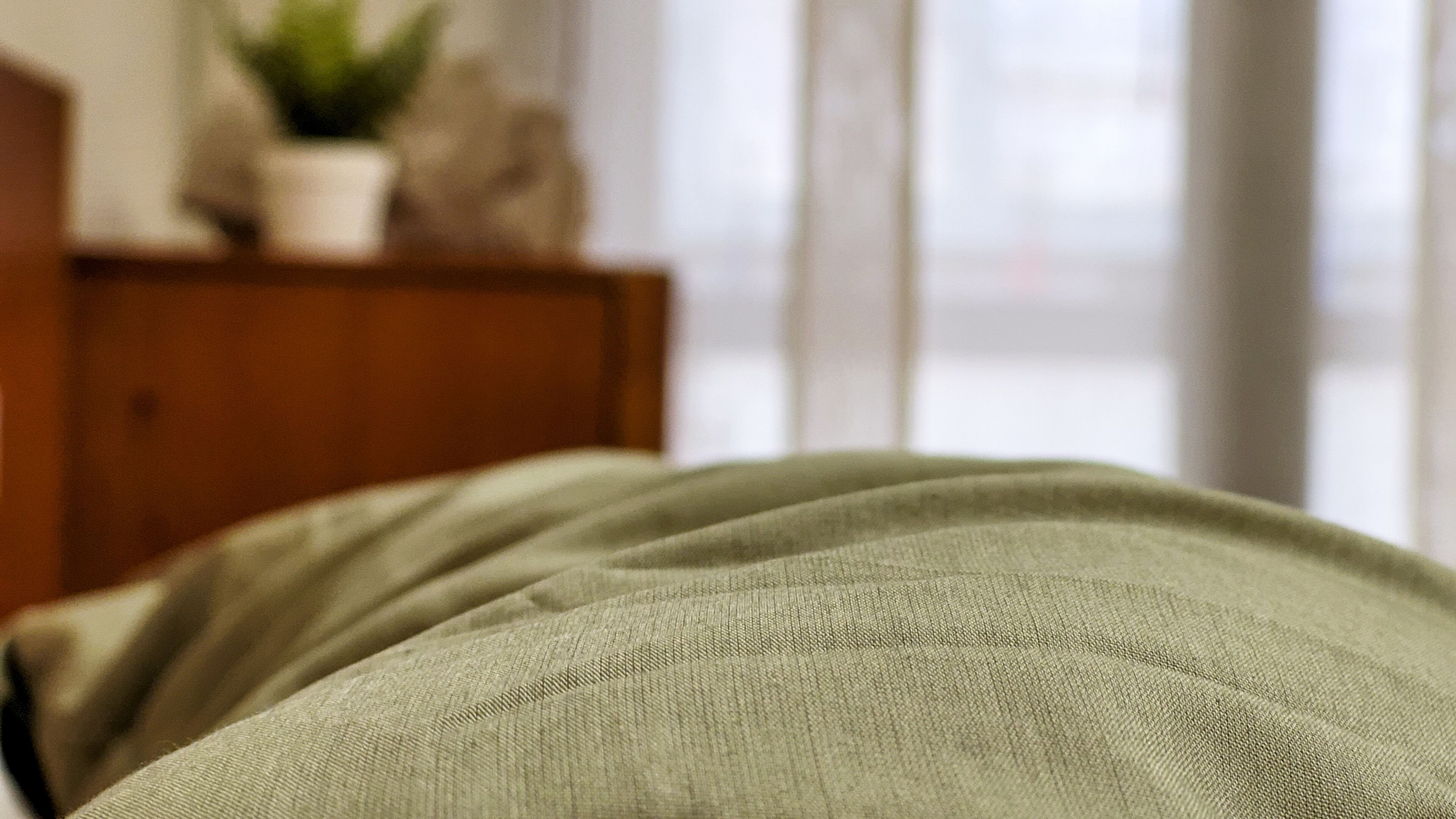Un lit recouvert d’une couverture verte, dans une chambre dont la tête de lit est en bois, et sur laquelle se trouve une plante posée sur une table d’appoint.