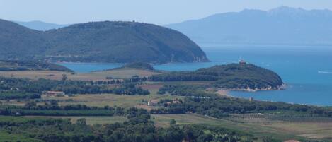 A coastal landscape with rolling hills, a body of water, and scattered buildings.