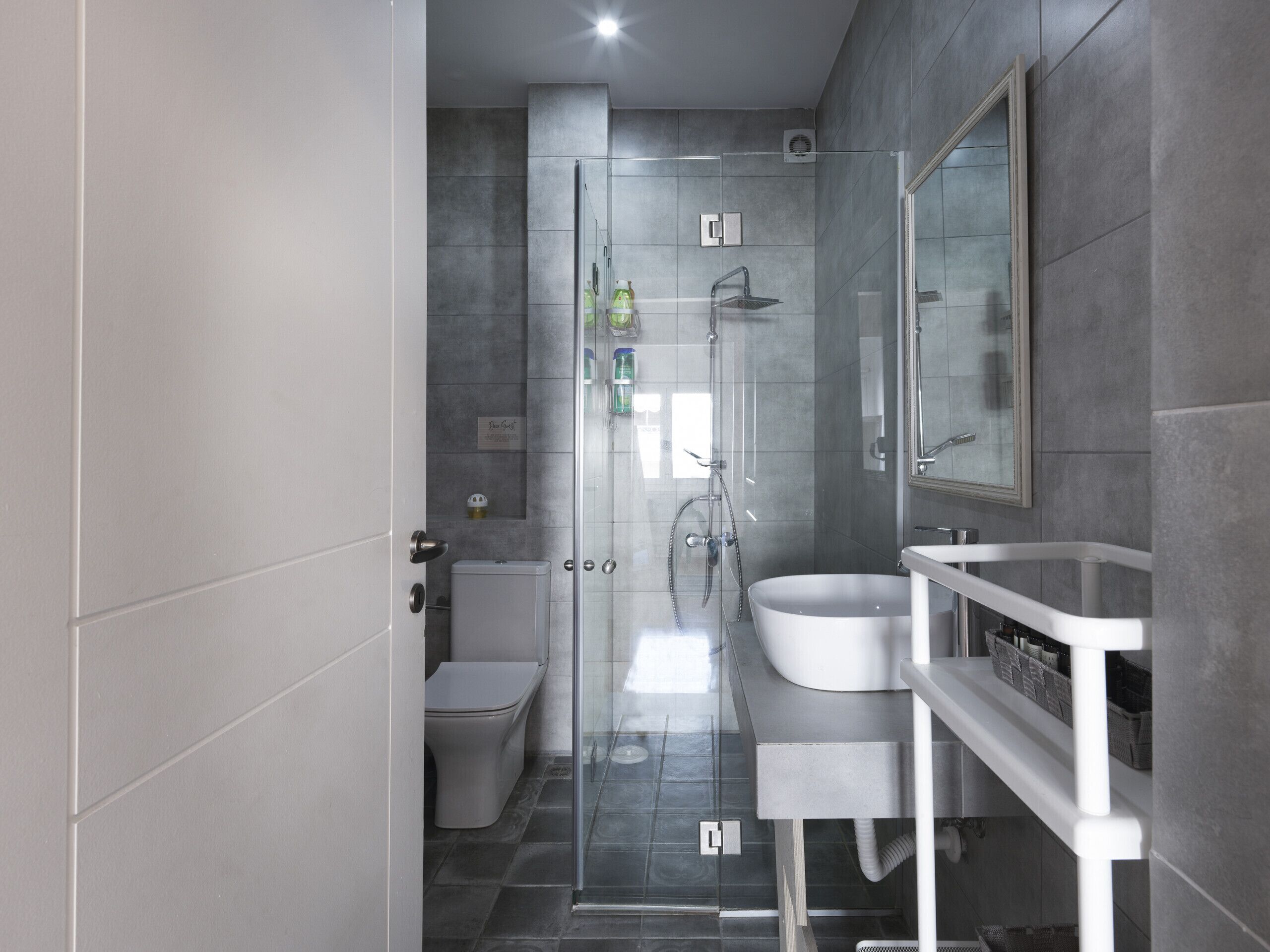 Shower, hair dryer