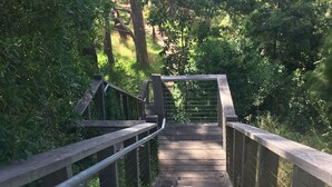 Un puente peatonal de madera con barandillas de metal, rodeado de abundante vegetación.