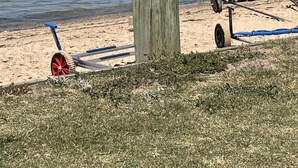 Una playa arenosa con un poste de madera y un carrito azul y negro.